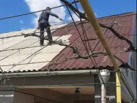 Мойка и покраска крыш домов, фасадов, зданий, сооружений профессиональным оборудованием, фотография 1