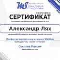 Контекстная реклама Яндекс.Директ и Google Ads под ключ. Создание Landing Page., фотография 4