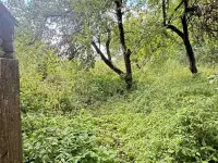 продам дом рядом с Борисовом, д.Новое Янчино, фотография 6