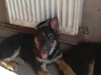 Продаю, фотография 4