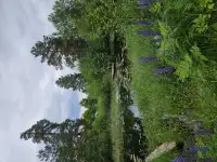 Продажа усадьбы в деревне Волова Гора, фотография 2