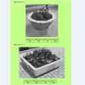 Продам элементы благоустройства, фотография 4