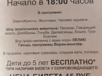 Советский цирк, фотография 3