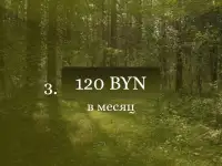 Русский язык ЦТ/ЦЭ Онлайн, фотография 7