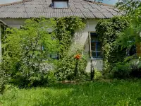 Дом в деревне, Гадовичи, Садовая 26, Пищаловский сельсовет, район, Витебская область.