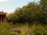 Купить дом, аг. Мотоль, 34 (Ивановский р-н, Брестская область), фотография 9