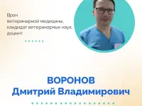 АНАТОМИЯ И ФИЗИОЛОГИЯ СОБАК ГЛАЗАМИ РЕАБИЛИТОЛОГА., фотография 2