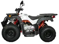 Квадрицикл kayo au150 cvt, фотография 2