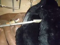 Продаю поворотное зеркало на длинной ручке с подсветкой, фотография 3