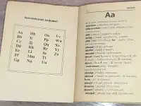 Ирина Лисовская, Илья Чернышев - Англо-русский и русско-английский словарь, фотография 6