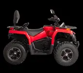 Квадрицикл bizon yk250 lux efi, фотография 5