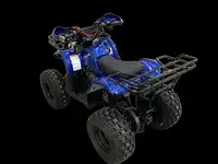 Квадроцикл motoland 125 fox, фотография 5