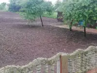 Участок с домом, фотография 4