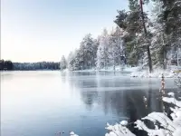 Участок в Беловежской пуще., фотография 6
