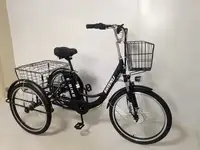 Трехколесный электровелосипед shtenli trike 31, фотография 2