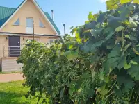 Продам коттедж в Сморгони, ул. Каминского, дом 52, фотография 6