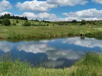 Продается дом, удачное место для дачи, фотография 7