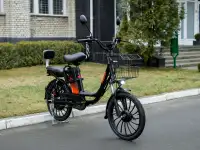 Электровелосипед AVM E-ALFA 20 Pro LITE Колхозник, фотография 2