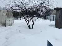 Пол дома, фотография 9