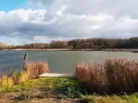 Коттедж под агроусадьбу возле леса и озера, Дер. Бросты, Гродненский район, Гродненская область, фотография 8