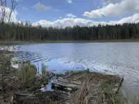 Продажа участков, Фариново, Зайково, фотография 3