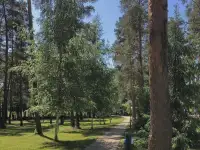 https://staiki-komplex.relax.by/   д.Ельница, ул. Спортивная, 80 (Минский р-н, Минская область), фотография 2