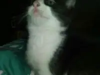 малыш ждет вас