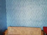 Продажа квартиры, Дер. Павлиново,ул Подлесная, 4, фотография 2
