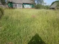 Продам дом в д. Голбея