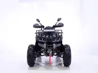 Квадроцикл yacota warrior 200 pro, фотография 2