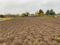 Продам участок, СТ Плянта 9, фотография 2