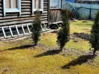 Дача, Красный октябрь, фотография 8