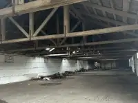 СКЛАД, Борисовский район, Пригородный сс, 64 вблизи д.Житьково, фотография 4