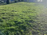 Продажа участка в д. Марьяливо