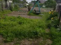 дом, Быховская, фотография 10