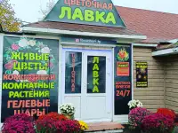 Торговый павильон, ул.Ленина 1а. Пав √12х