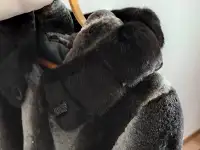 Шуба, фотография 2