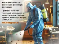 Избавление от  клещей тараканов, крыс.