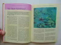 Как победить аллергический насморк.Лечимся без лекарств,Махаон, 1999 год, 128 стр., фотография 5