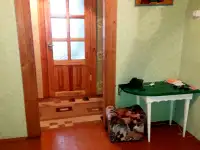 Дом,дача, д. Куренец, фотография 3