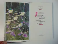 Знахарь в доме Цветы, которые лечат, фотография 3
