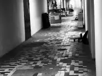 Аренда складского-производственного помещения, ул. Ф. Скорины 14, фотография 2