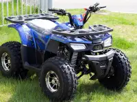 Квадроцикл MMG Hunter II 125cc (SCRAMBLER), фотография 4