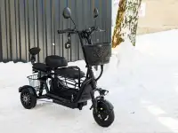 Электросамокат AVM DELTA TRIKE, фотография 3