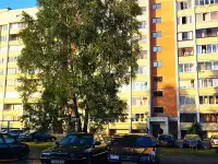 Квартира на сутки, Юбилейная, фотография 3