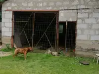 Продажа дачного участка с домом,