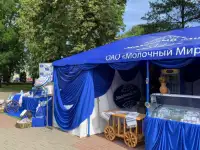БРЕНДИРОВАННЫЕ ЗОНТЫ, ИЗГОТОВЛЕНИЕ, ЗАКАЗ, фотография 2