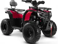 Квадроцикл Progasi RaceJumper 200 (к-т з/ч), фотография 5