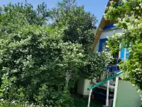 Продам дачу, Минская область деревня Стайки, фотография 7