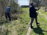 Услуги по вырезке деревьев, фотография 11